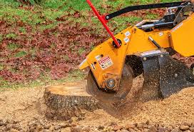 Best Landscape Design and Installation  in North Haledon, NJ
